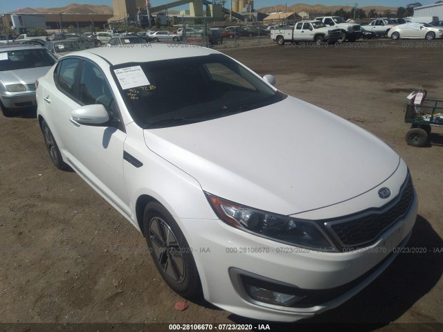 KIA OPTIMA 2012 knagm4ad1c5022928