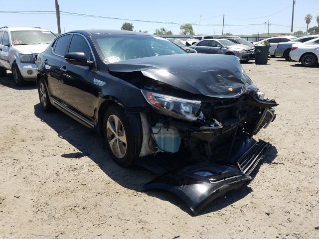 KIA OPTIMA HYB 2014 knagm4ad1e5071761