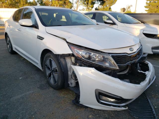 KIA OPTIMA HYB 2012 knagm4ad2c5028303