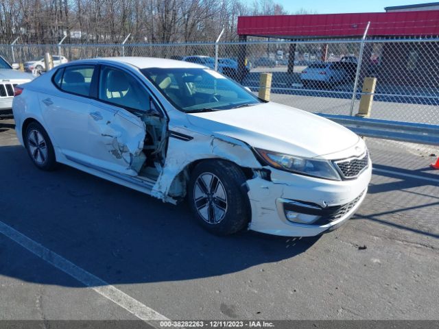 KIA OPTIMA 2013 knagm4ad2d5058421