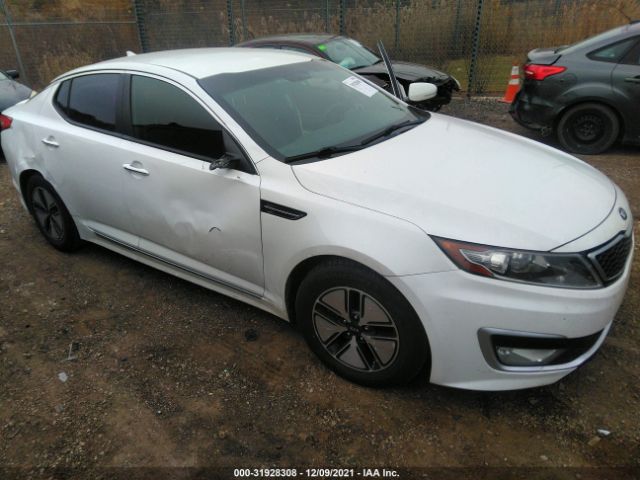 KIA OPTIMA 2011 knagm4ad5b5006620