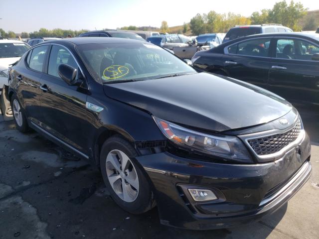 KIA OPTIMA HYB 2016 knagm4ad5g5099484