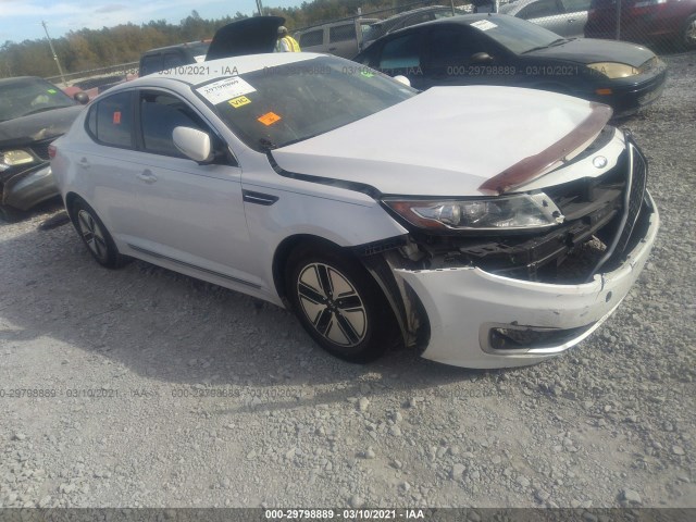 KIA OPTIMA 2012 knagm4ad6c5036341