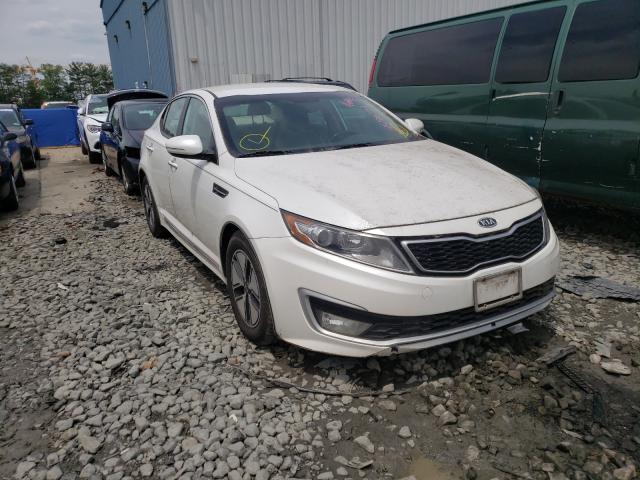 KIA OPTIMA HYB 2011 knagm4ad7b5003461