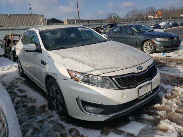 KIA OPTIMA HYB 2011 knagm4ad8b5004568