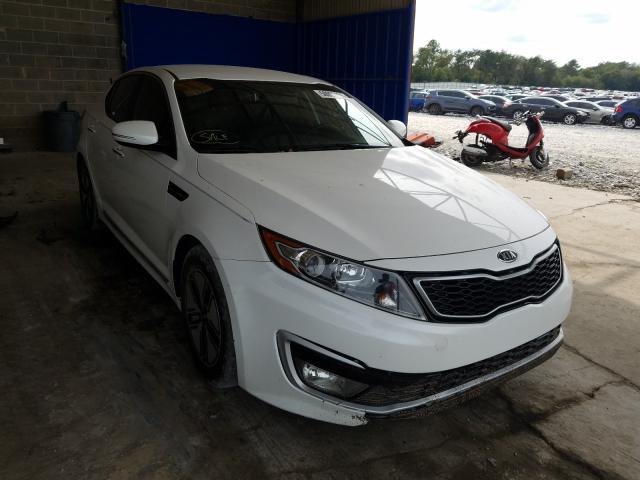 KIA OPTIMA HYB 2011 knagm4ad8b5004666