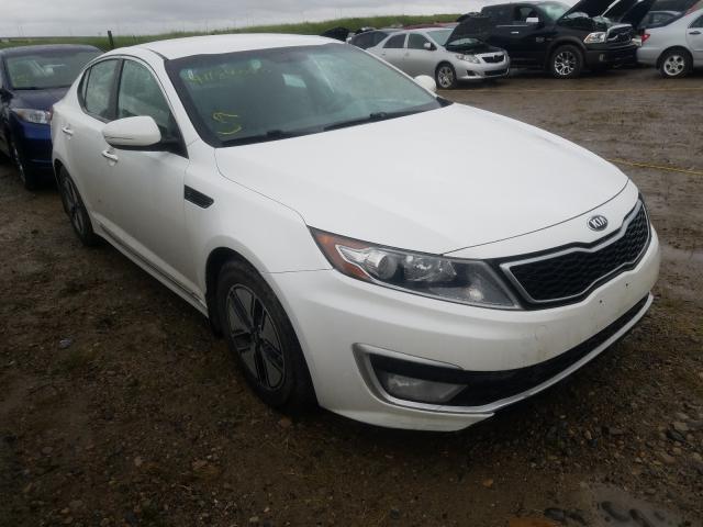 KIA OPTIMA HYB 2013 knagm4ad8d5051358