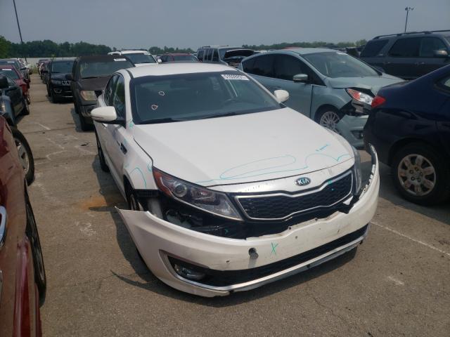 KIA NULL 2013 knagm4ad8d5054518