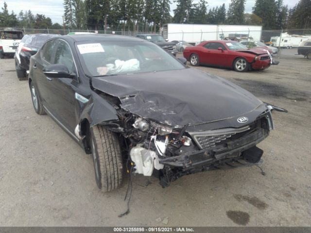 KIA NULL 2016 knagm4ad8g5096238