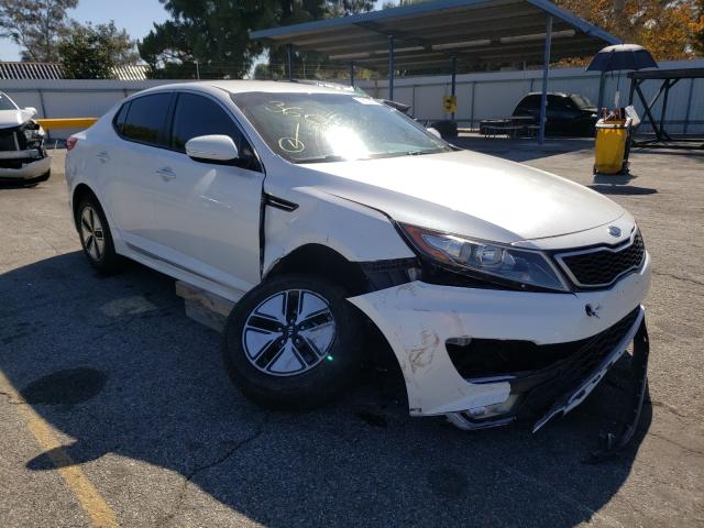 KIA OPTIMA HYB 2012 knagm4adxc5034981