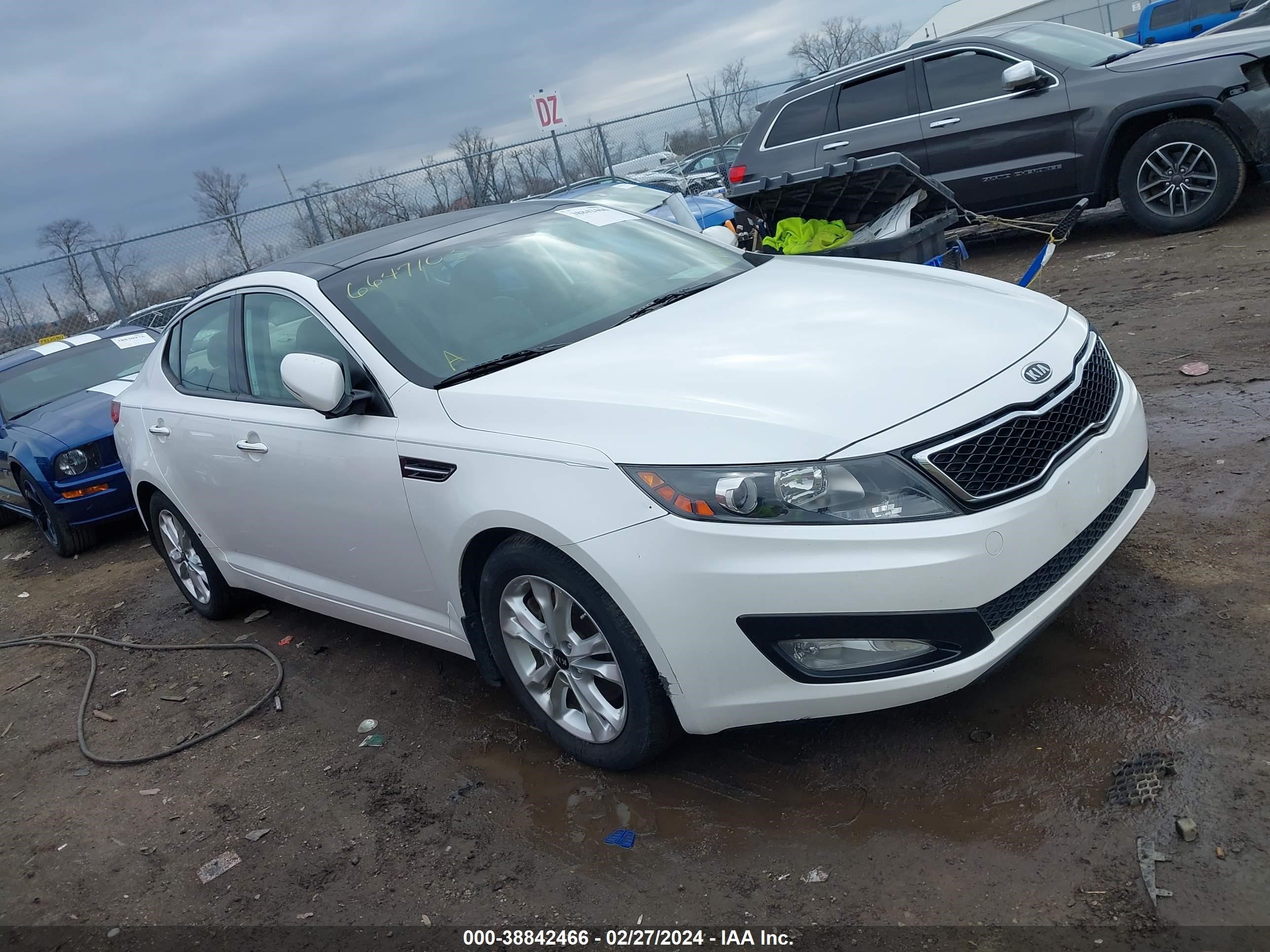 KIA OPTIMA 2011 knagn4a64b5159827