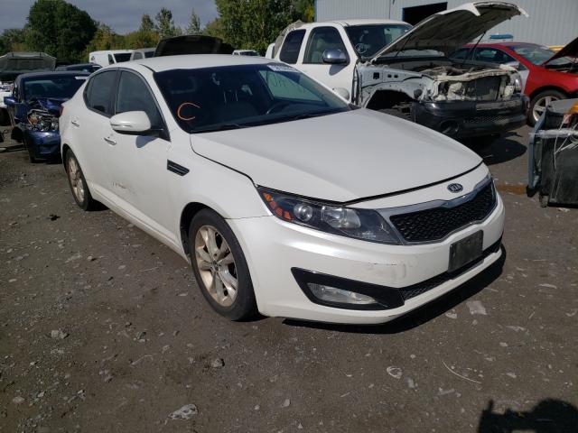 KIA OPTIMA EX 2011 knagn4a76b5069362