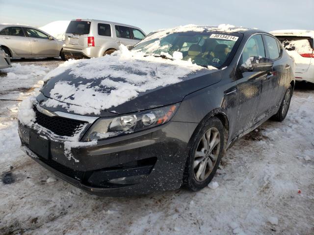 KIA OPTIMA 2011 knagn4a77b5097106