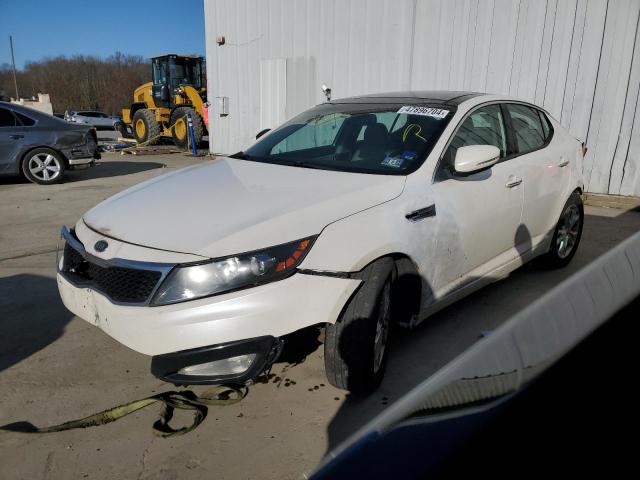 KIA OPTIMA 2011 knagn4a77b5172287