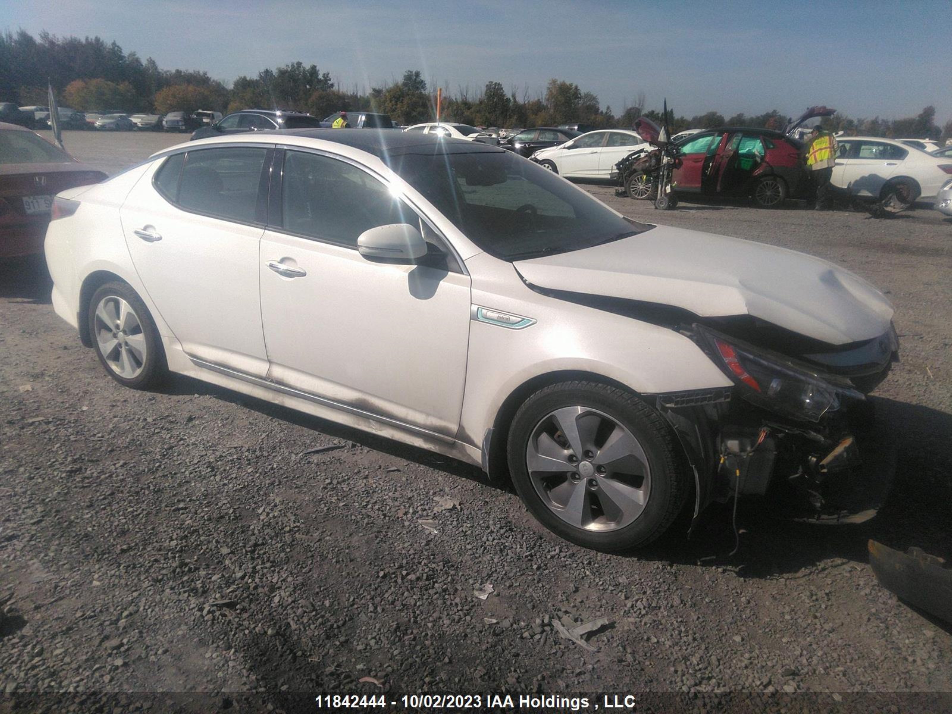 KIA OPTIMA 2016 knagn4ad0g5099387