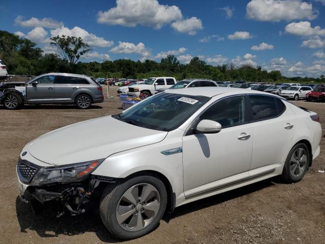 KIA OPTIMA 2014 knagn4ad2e5062483