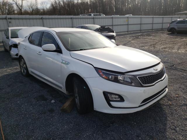 KIA OPTIMA HYB 2014 knagn4ad2e5074164