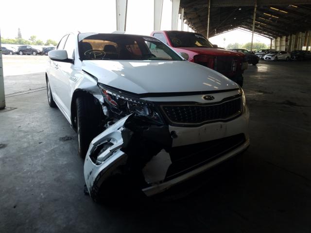 KIA NULL 2016 knagn4ad3g5093986