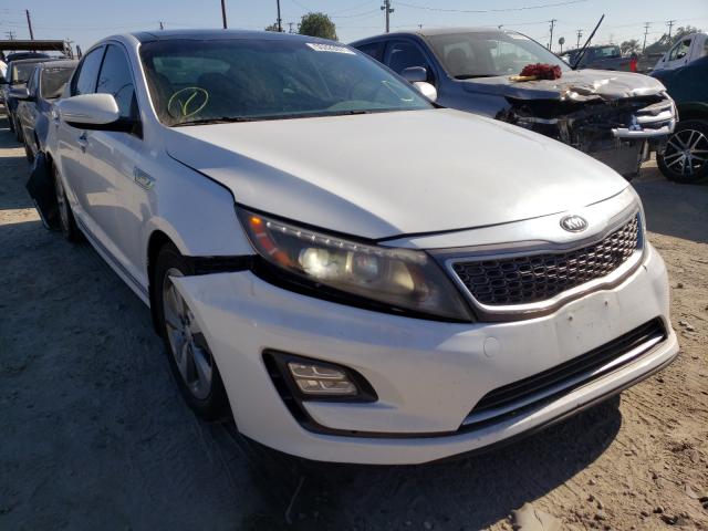 KIA OPTIMA HYB 2014 knagn4ad4e5064073