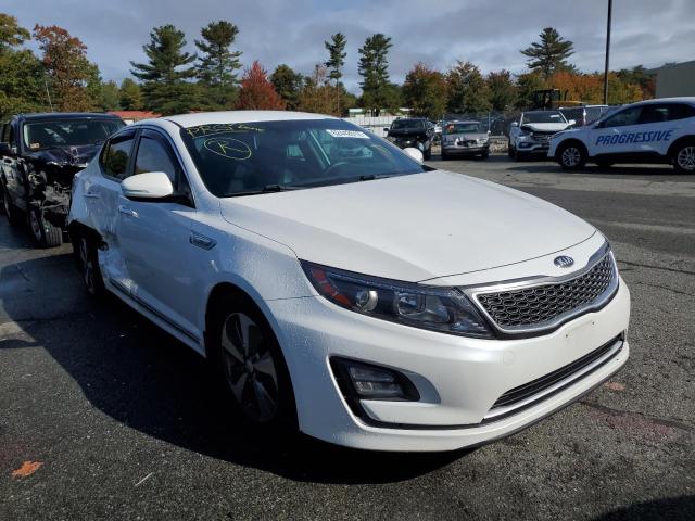 KIA OPTIMA HYB 2014 knagn4ad4e5072948