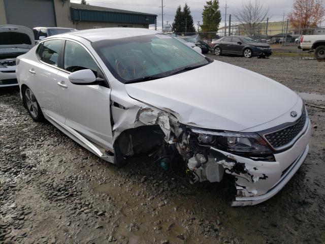 KIA OPTIMA HYB 2015 knagn4ad5f5081885