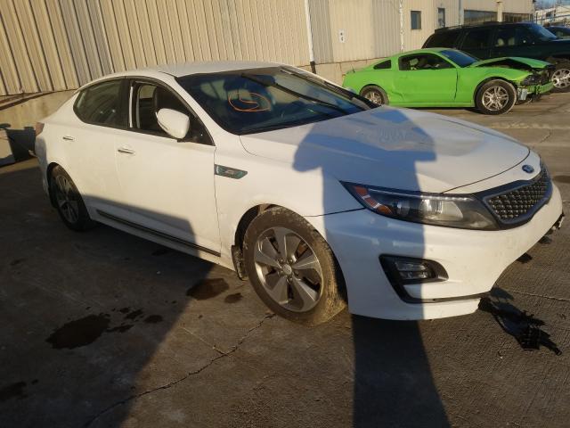 KIA OPTIMA HYB 2015 knagn4ad5f5088660