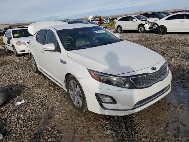 KIA OPTIMA HYB 2014 knagn4ad6e5068688