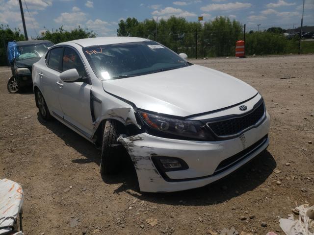 KIA OPTIMA HYB 2014 knagn4ad6e5069405