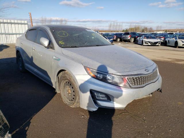 KIA OPTIMA HYB 2014 knagn4ad6e5074815