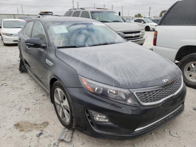 KIA OPTIMA HYB 2015 knagn4ad6f5081569