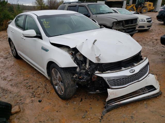 KIA OPTIMA HYB 2015 knagn4ad6f5091504