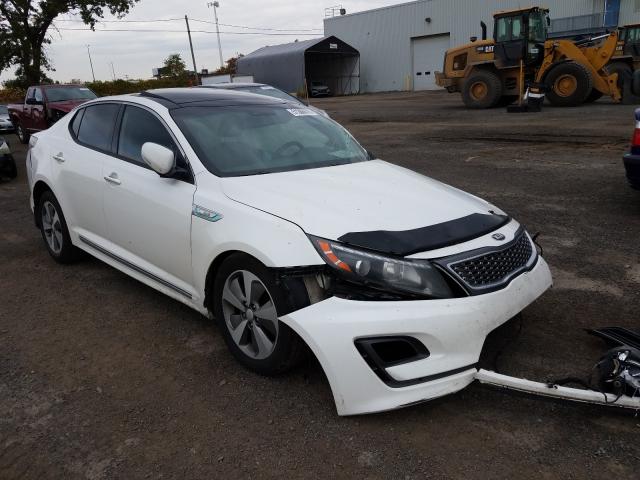 KIA OPTIMA HYB 2014 knagn4ad7e5072572