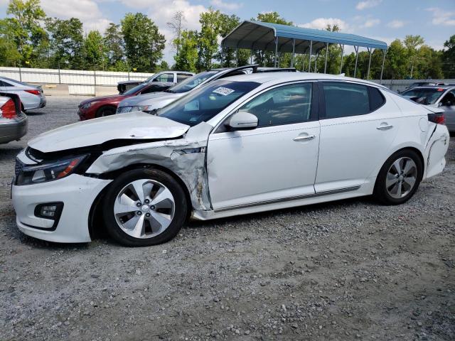 KIA OPTIMA 2015 knagn4ad8f5091424