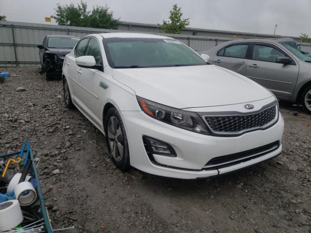 KIA NULL 2014 knagn4ad9e5069026