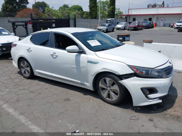 KIA OPTIMA 2016 knagn4ad9g5098478