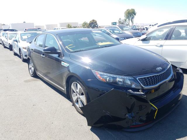 KIA NULL 2015 knagn4adxf5080182