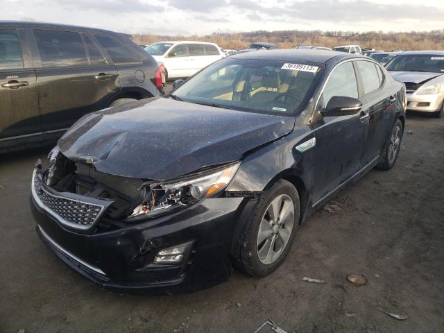 KIA OPTIMA HYB 2015 knagn4adxf5088573