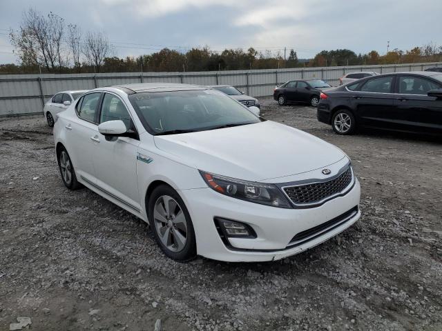 KIA OPTIMA HYB 2015 knagn4adxf5091098