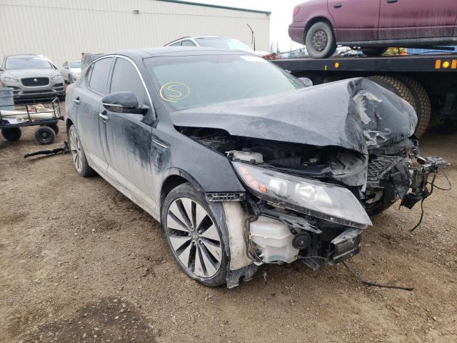 KIA OPTIMA SX 2013 knagr4a61d5411184