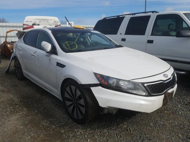 KIA OPTIMA SX 2011 knagr4a64b5093025