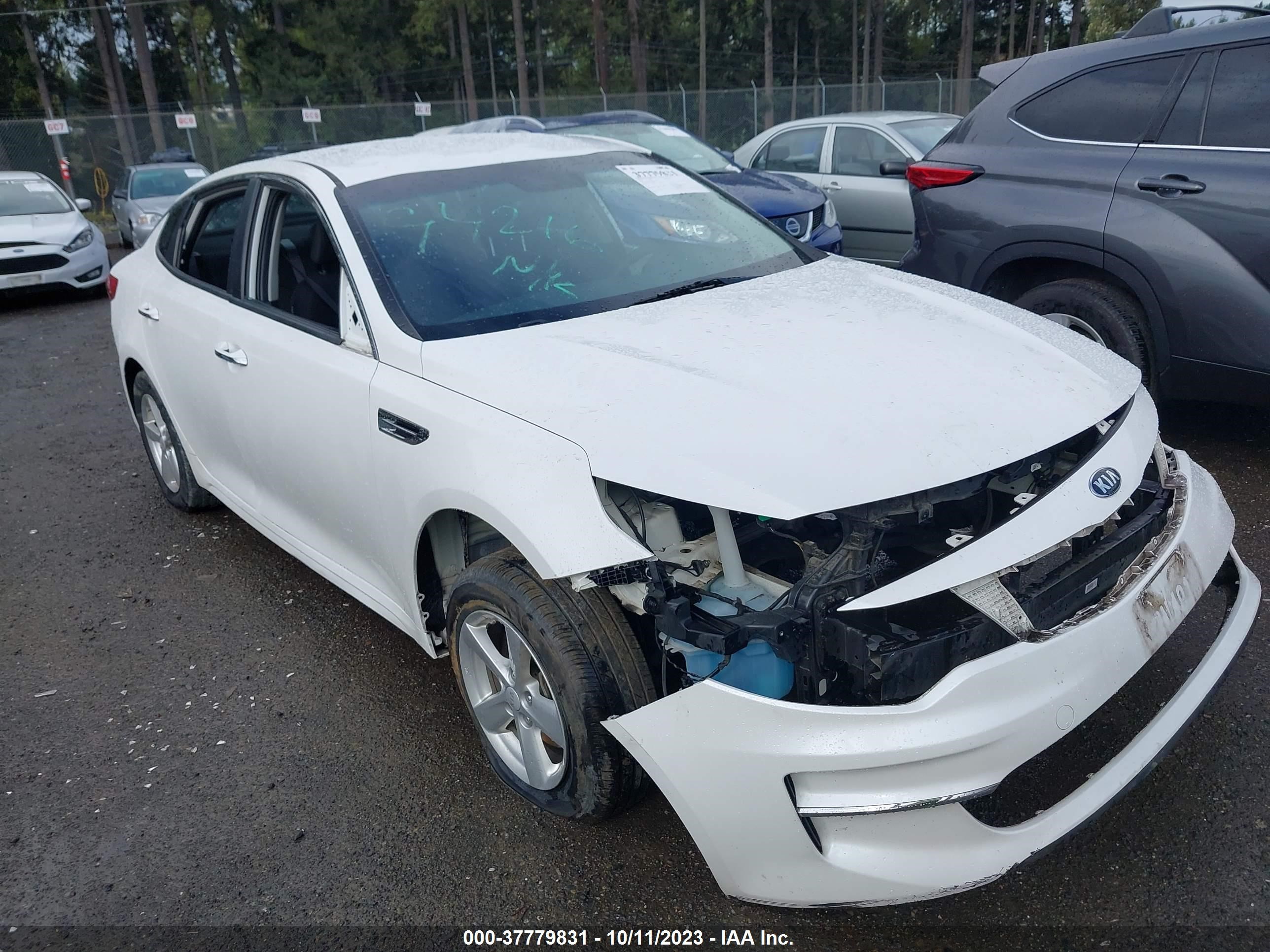 KIA OPTIMA 2016 knagt4l31g5074749