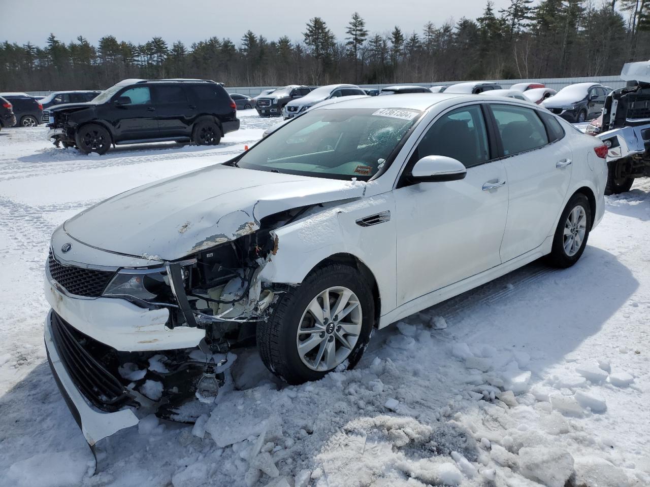 KIA OPTIMA 2016 knagt4l33g5089690