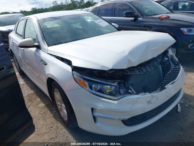 KIA OPTIMA 2016 knagt4l3xg5088357