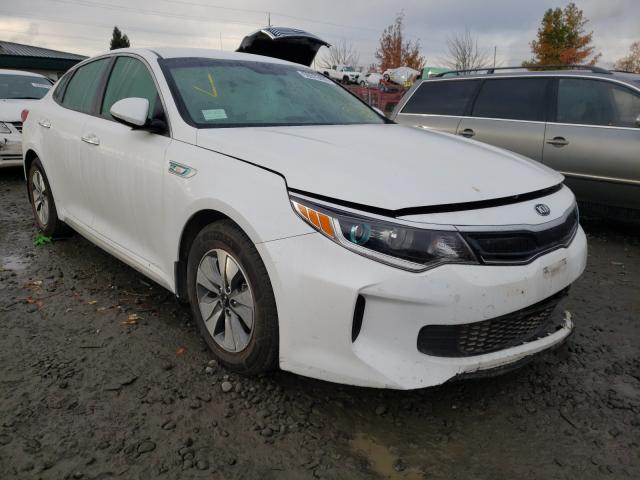 KIA OPTIMA HYB 2017 knagt4lc1h5007845