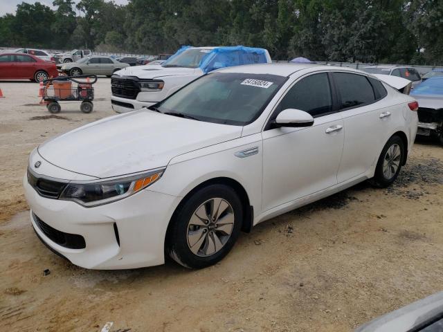 KIA OPTIMA 2017 knagt4lc2h5007434