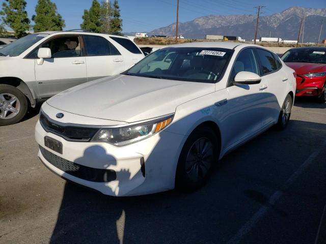 KIA OPTIMA 2017 knagt4lc5h5008836