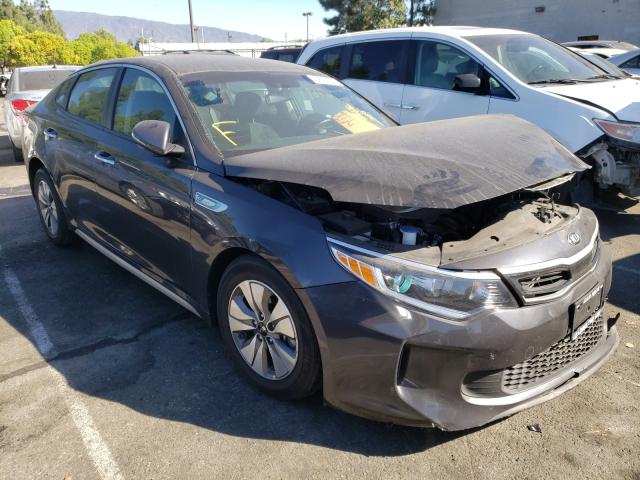 KIA OPTIMA HYB 2017 knagt4le1h5009211