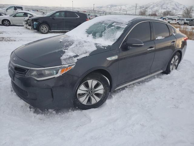 KIA OPTIMA 2017 knagt4le2h5011999