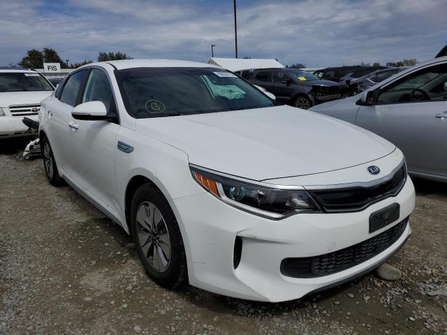 KIA OPTIMA HYB 2017 knagt4le2h5016765