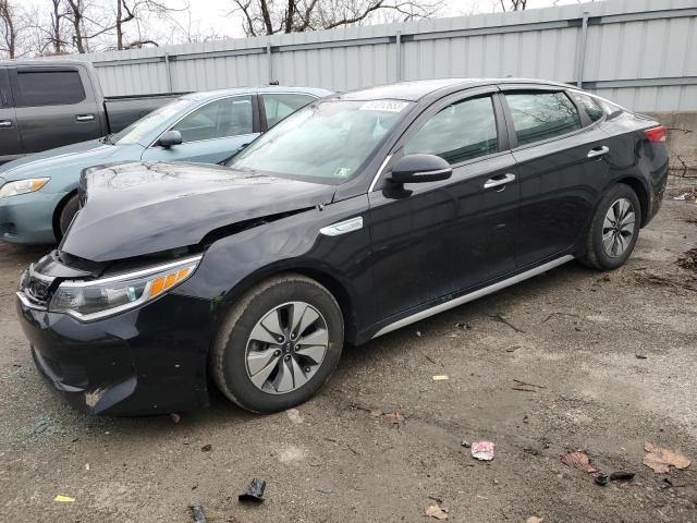 KIA OPTIMA 2017 knagt4le3h5009579